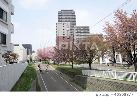 札幌　白石サイクリングロード（白石こころーど東札幌1条3丁目付近） 40508877