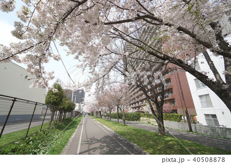 札幌　白石サイクリングロード（白石こころーど東札幌1条3丁目付近） 40508878