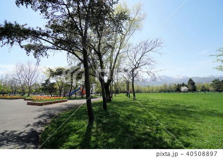 札幌　手稲稲積公園の園内風景 40508897