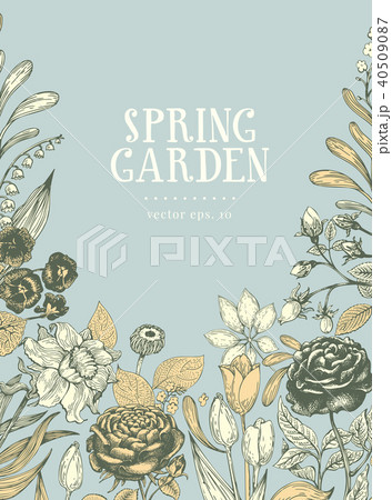 Vector hand drawn botanical banner. Vintage illustration. Vector design template. Floral background. 40509087