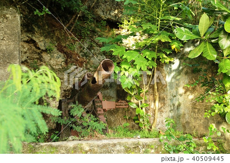 旧日本軍大砲 旧日本軍大砲 40509445