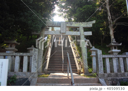 北九州の白髭神社 北九州の白髭神社 40509530