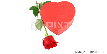 Gift box and scarlet rose isolated on white Gift box and scarlet rose isolated on white 40509887