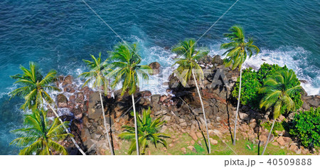 Beach tropical ocean with coral, palm trees Beach tropical ocean with coral, palm trees 40509888