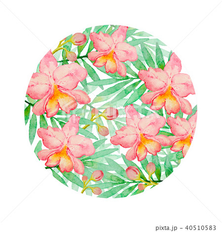 Floral background with pink watercolor orchids Floral background with pink watercolor orchids 40510583
