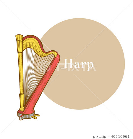 Harp in Hand Drawn Style Harp in Hand Drawn Style 40510961