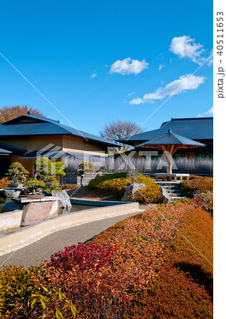 Omiya Bonsai Museum garden, Saitama, Japan 40511653