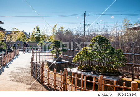 Omiya Bonsai Museum garden, Saitama, Japan Omiya Bonsai Museum garden, Saitama, Japan 40511894