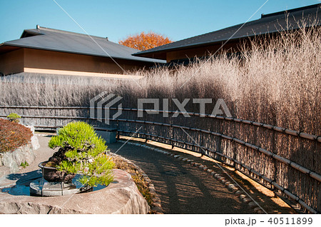 Omiya Bonsai Museum garden, Saitama, Japan 40511899