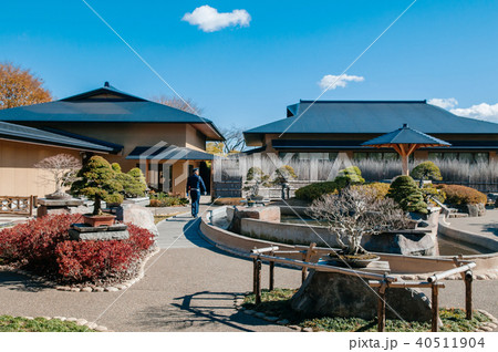 Omiya Bonsai Museum garden, Saitama, Japan Omiya Bonsai Museum garden, Saitama, Japan 40511904
