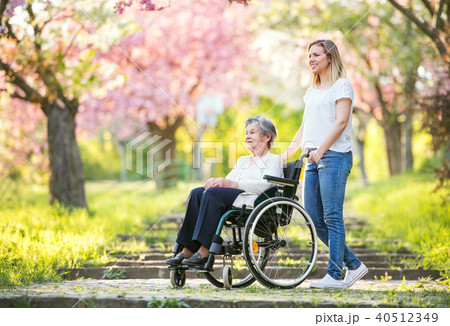 Elderly grandmother in wheelchair with granddaughter in spring nature. Elderly grandmother in wheelchair with granddaughter in spring nature. 40512349