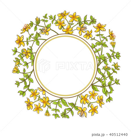 tutsan branch vector frame tutsan branch vector frame 40512440