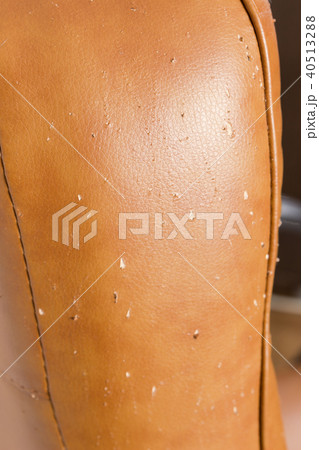 Scratches from cat claws on leather furniture Scratches from cat claws on leather furniture 40513288