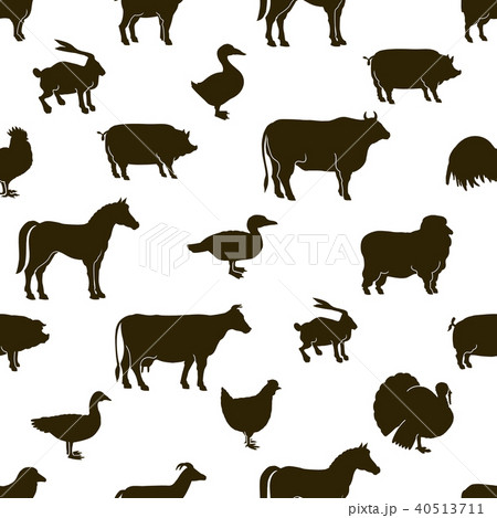 Vector farm animals and poultry background. Farm illustrations. Hand drawn animal and bird Vector farm animals and poultry background. Farm illustrations. Hand drawn animal and bird 40513711