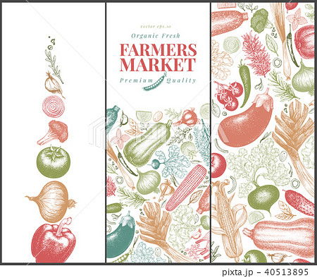 Vegetables hand drawn vector banner set. Retro engraved style illustrations. Can be use for menu Vegetables hand drawn vector banner set. Retro engraved style illustrations. Can be use for menu 40513895