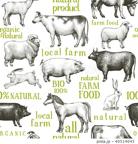 Vector farm animals background. Vintage illustration. Hand drawn animals. Farm seamless pattern. Vector farm animals background. Vintage illustration. Hand drawn animals. Farm seamless pattern. 40514045