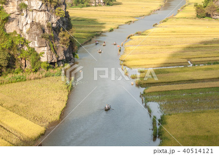 Tam Coc- The best places to see ripening rice fiel 40514121