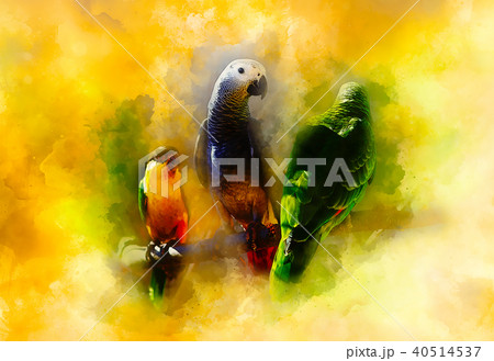 Colored parrots and softly blurred watercolor background. 40514537