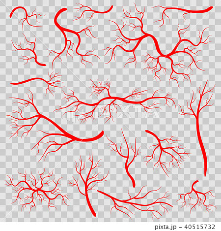 Creative vector illustration of red veins isolated on background. Human vessel, health arteries, Art Creative vector illustration of red veins isolated on background. Human vessel, health arteries, Art 40515732