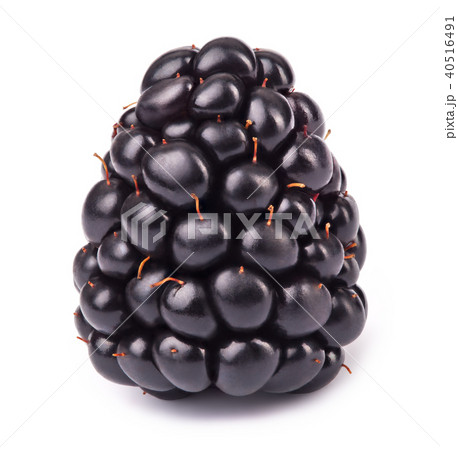 Ripe blackberry isolated 40516491