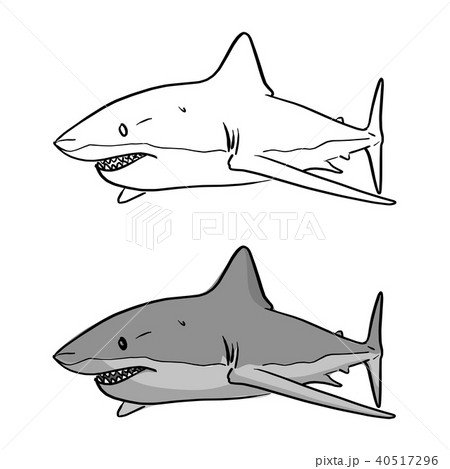 gray shark vector illustration sketch doodle gray shark vector illustration sketch doodle 40517296