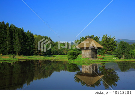 新緑の荒神神社 新緑の荒神神社 40518281