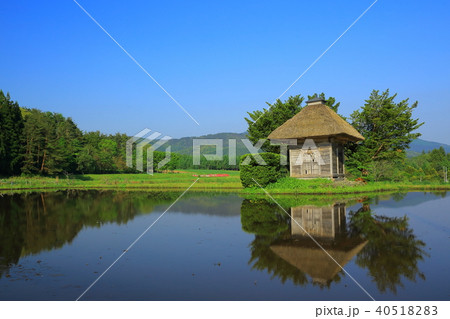 新緑の荒神神社 新緑の荒神神社 40518283