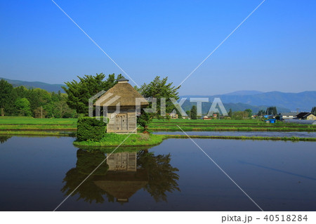 新緑の荒神神社 40518284