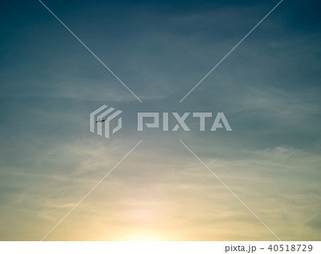 ハエ 飛行 蠅 40518729