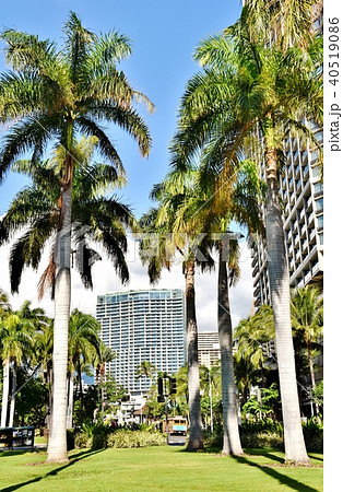 ハワイの休日 40519086