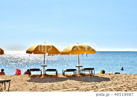 ハワイの休日 40519087