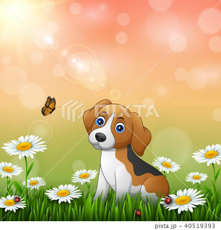 Cartoon dog in the grass background 40519393