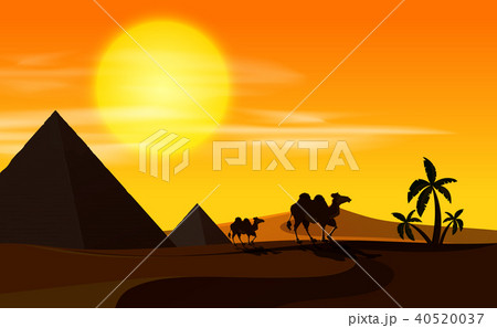 Desert scene with camels at sunset Desert scene with camels at sunset 40520037