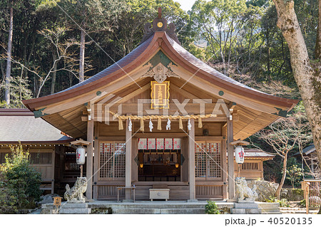 竈門神社 40520135