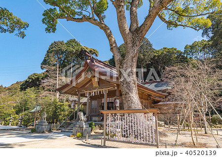竈門神社 竈門神社 40520139
