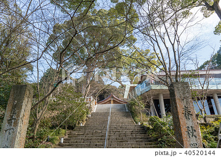 竈門神社 40520144