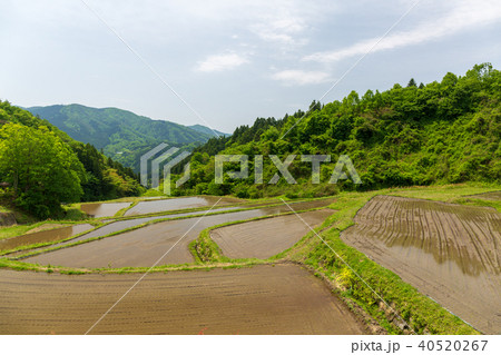 宮城丸森　沢尻の棚田 40520267