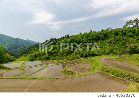 宮城丸森 沢尻の棚田 宮城丸森 沢尻の棚田 40520270