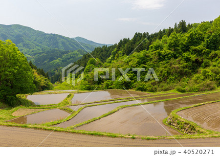 宮城丸森 沢尻の棚田 宮城丸森 沢尻の棚田 40520271