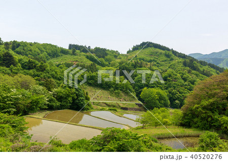 宮城丸森　沢尻の棚田 40520276