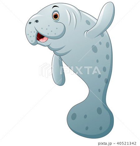 Cartoon seal 40521342