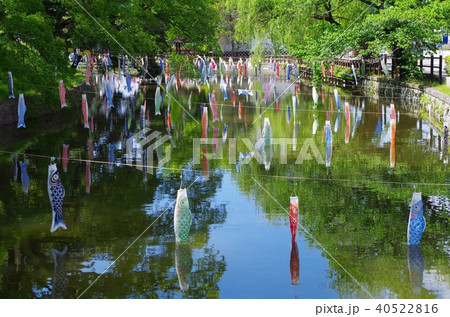 新緑の池と鯉のぼり 新緑の池と鯉のぼり 40522816