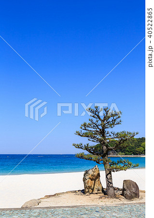 早朝の白良浜　和歌山県 40522865