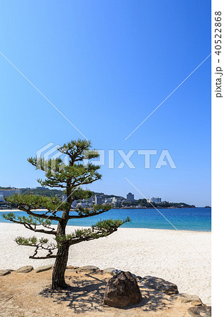 早朝の白良浜　和歌山県 40522868