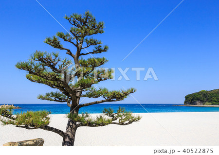 早朝の白良浜　和歌山県 40522875