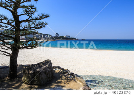 早朝の白良浜　和歌山県 40522876