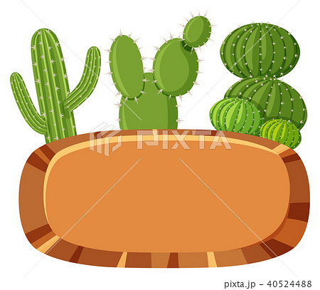 Mexican Cactus Banner on White Background 40524488