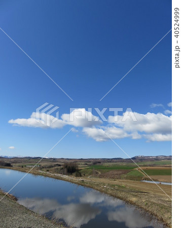 新城峠から望む 40524999