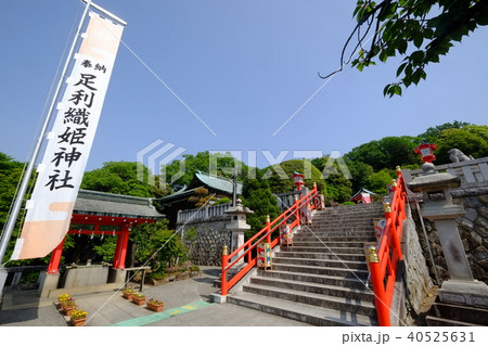 足利織姫神社（手水舎） 40525631