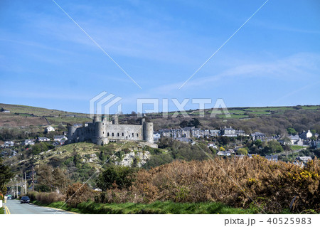 The skyline of Harlech with it's 12th century castle, Wales, United Kingdom 40525983